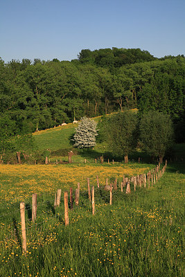 BUITEN BEELD Foto: 232431