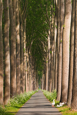 BUITEN BEELD Foto: 232463