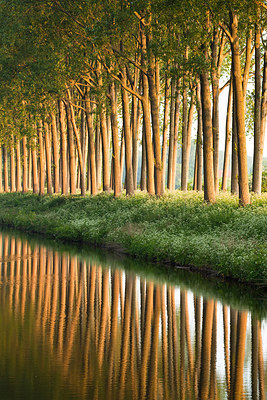 BUITEN BEELD Foto: 232466