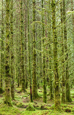 BUITEN BEELD Foto: 232477