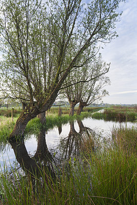 BUITEN BEELD Foto: 232517