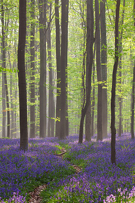 BUITEN BEELD Foto: 232536