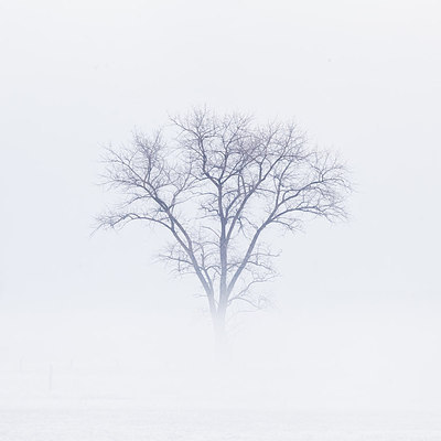 BUITEN BEELD Foto: 232538