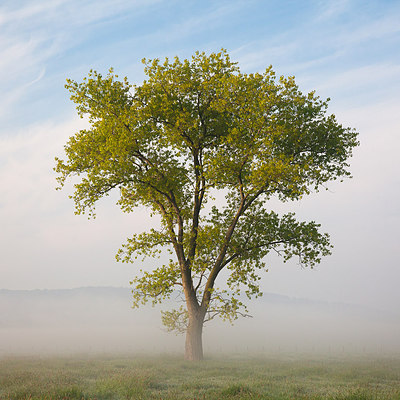 BUITEN BEELD Foto: 232540