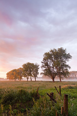 BUITEN BEELD Foto: 232542