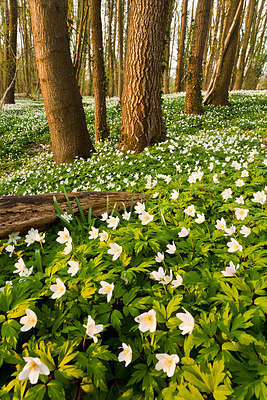 BUITEN BEELD Foto: 232545