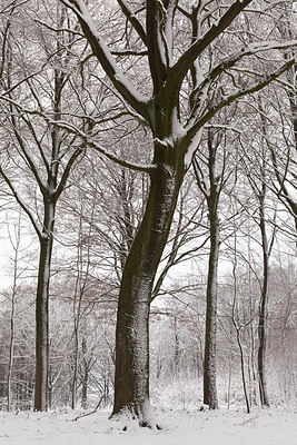 BUITEN BEELD Foto: 232546