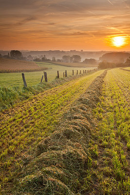 BUITEN BEELD Foto: 232547
