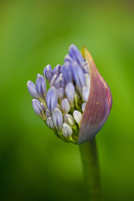 BUITEN BEELD Foto: 232590