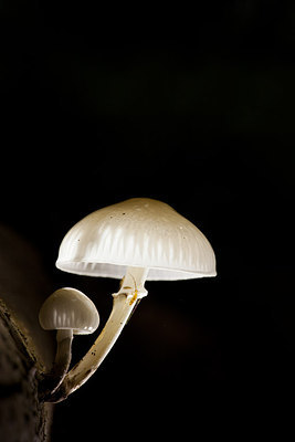 BUITEN BEELD Foto: 232624