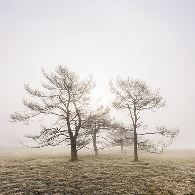 BUITEN BEELD Foto: 232694