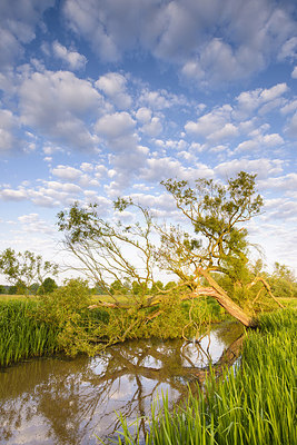 BUITEN BEELD Foto: 232718