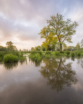 BUITEN BEELD Foto: 232719