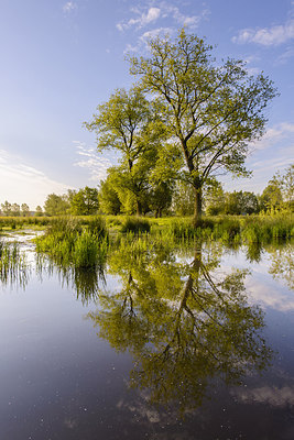 BUITEN BEELD Foto: 232720