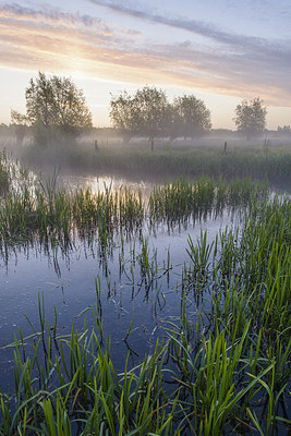 BUITEN BEELD Foto: 232721