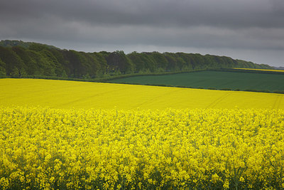 BUITEN BEELD Foto: 232775