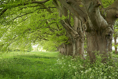 BUITEN BEELD Foto: 232777