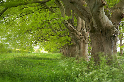 BUITEN BEELD Foto: 232778