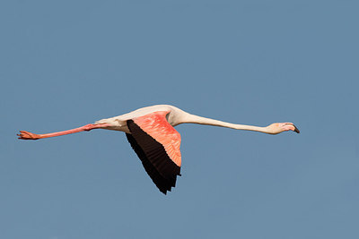 BUITEN BEELD Foto: 232793