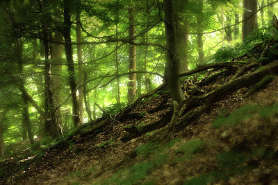 BUITEN BEELD Foto: 232914