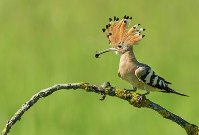 BUITEN BEELD Foto: 232966