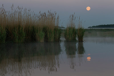 BUITEN BEELD Foto: 233246
