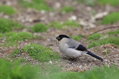 BUITEN BEELD Foto: 233263