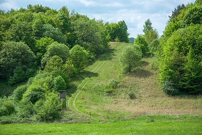 BUITEN BEELD Foto: 233368