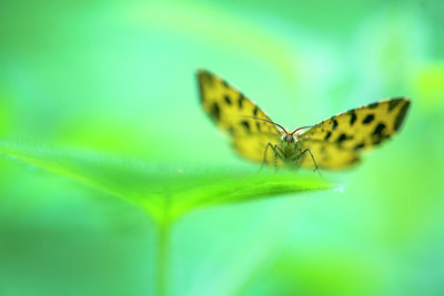 BUITEN BEELD Foto: 233377