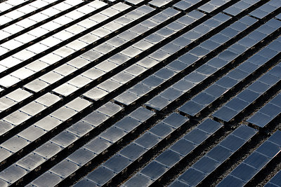 BUITEN BEELD Foto: 233491
