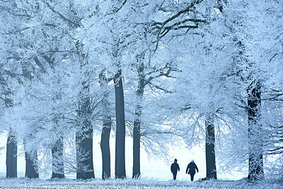 BUITEN BEELD Foto: 233498