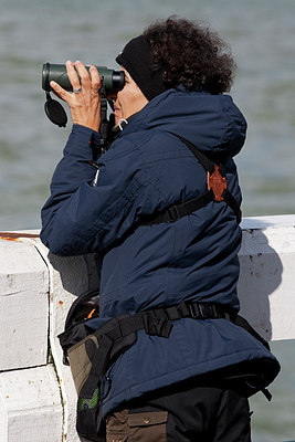 BUITEN BEELD Foto: 233505