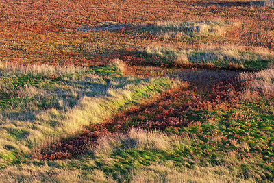 BUITEN BEELD Foto: 233520