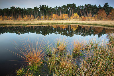 BUITEN BEELD Foto: 233521