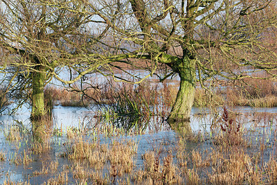 BUITEN BEELD Foto: 233523