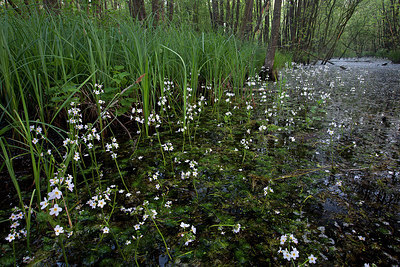 BUITEN BEELD Foto: 233543