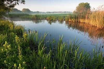 BUITEN BEELD Foto: 233555