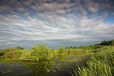 BUITEN BEELD Foto: 233564