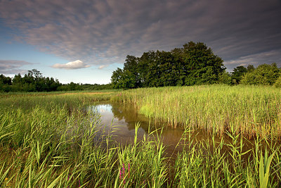 BUITEN BEELD Foto: 233565