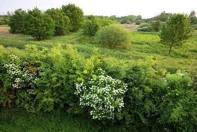 BUITEN BEELD Foto: 233596