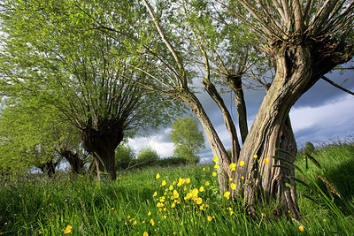 BUITEN BEELD Foto: 233600