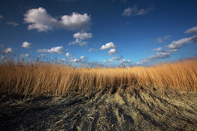 BUITEN BEELD Foto: 233603