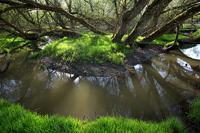 BUITEN BEELD Foto: 233614