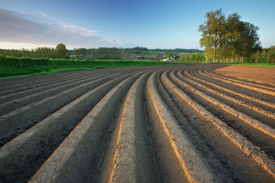 BUITEN BEELD Foto: 233622
