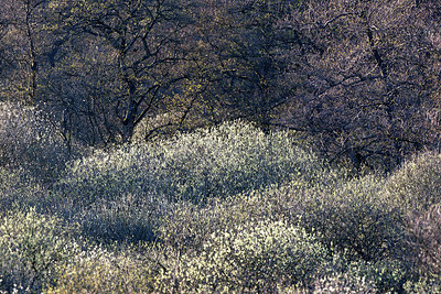 BUITEN BEELD Foto: 233626