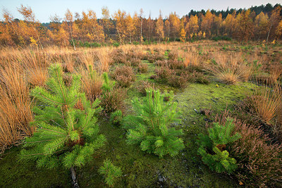 BUITEN BEELD Foto: 233632