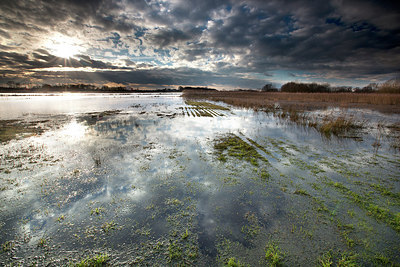 BUITEN BEELD Foto: 233658