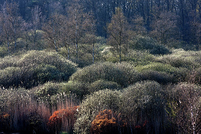 BUITEN BEELD Foto: 233665