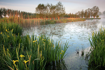 BUITEN BEELD Foto: 233668