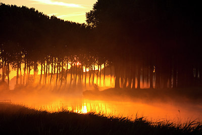 BUITEN BEELD Foto: 233671